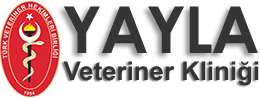 Yayla Veteriner Kliniği