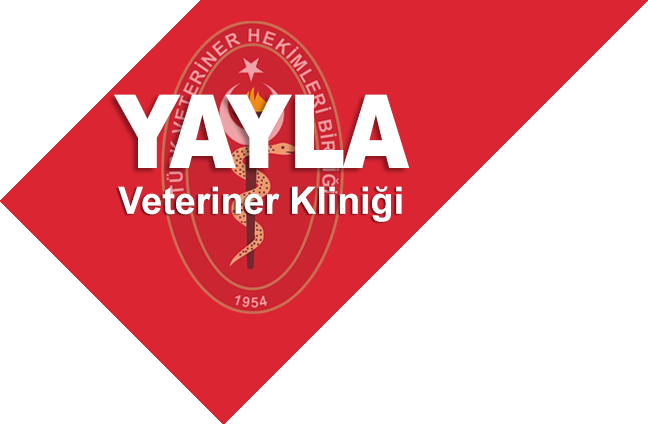 Yayla Veteriner Kliniği